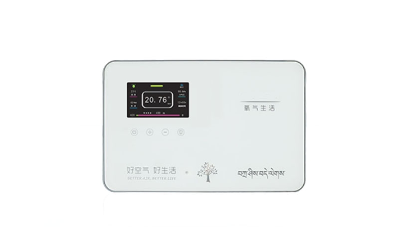 儋州弥散供氧系统终端